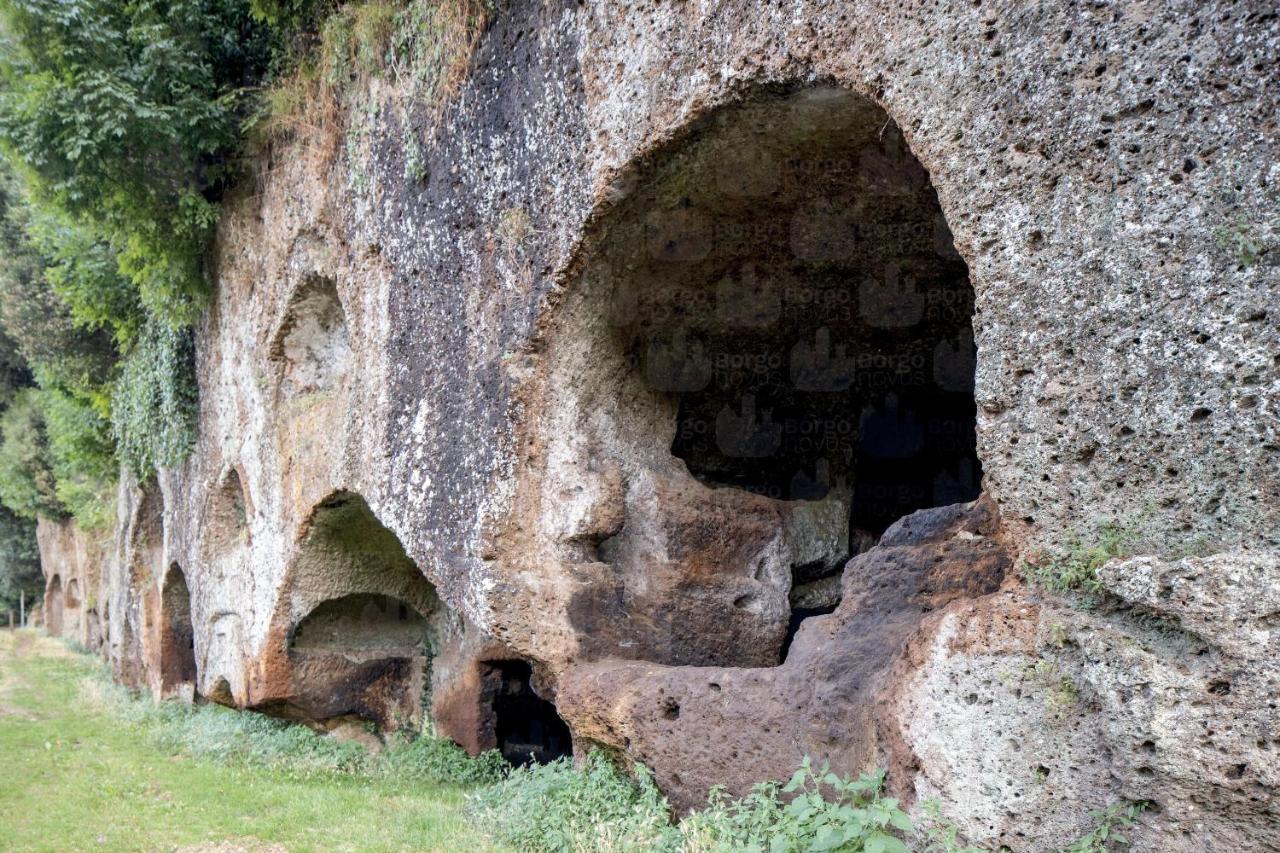La Casetta Di Vi Apartment Sutri